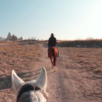 Le voyage à cheval